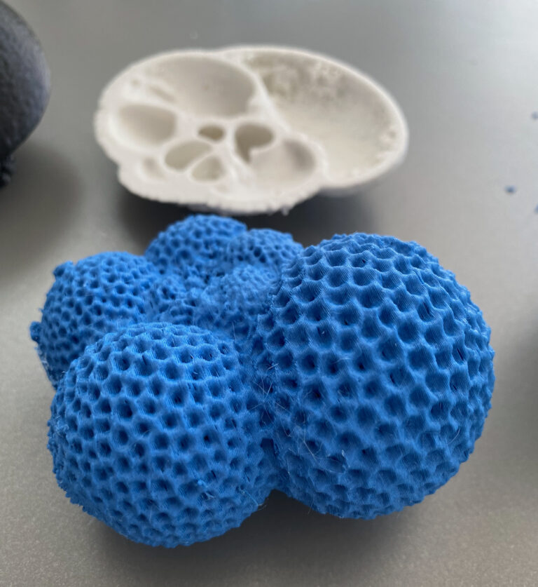 3D Forams for Earth and Oceanographic Science